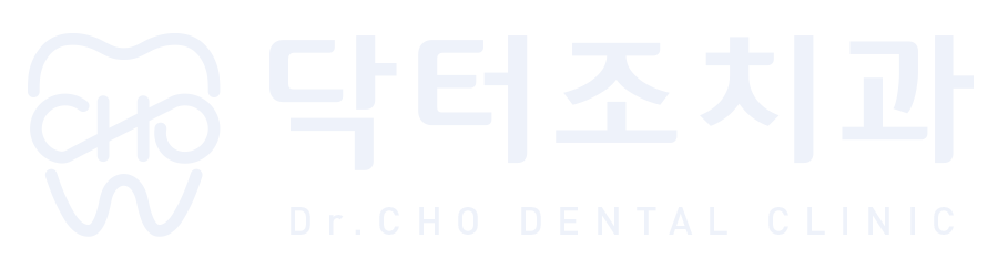 닥터조치과